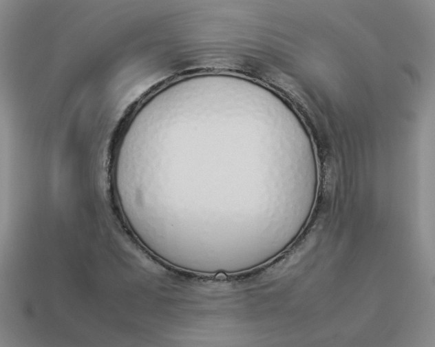 X0000113891071200910151329