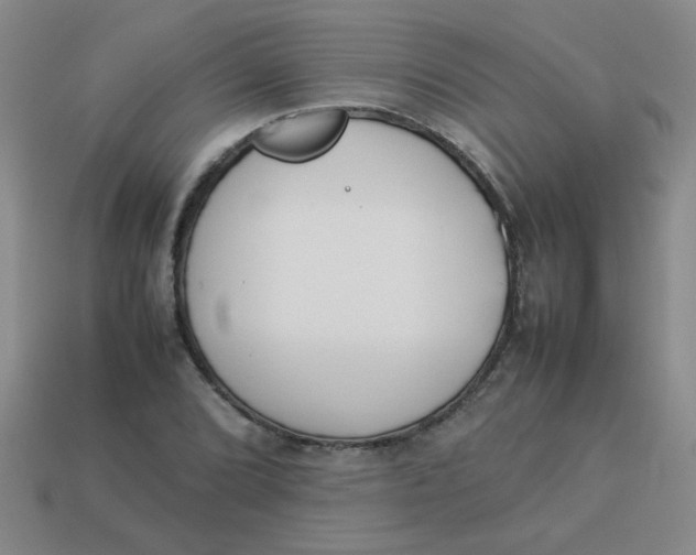 X0000113891072200910151329