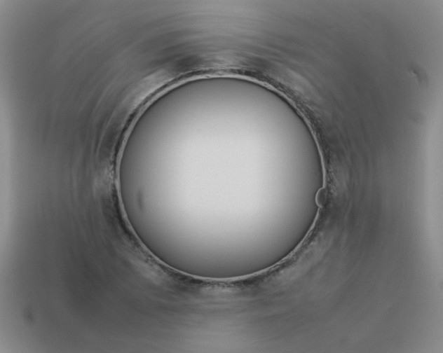 X0000113891073200910151329