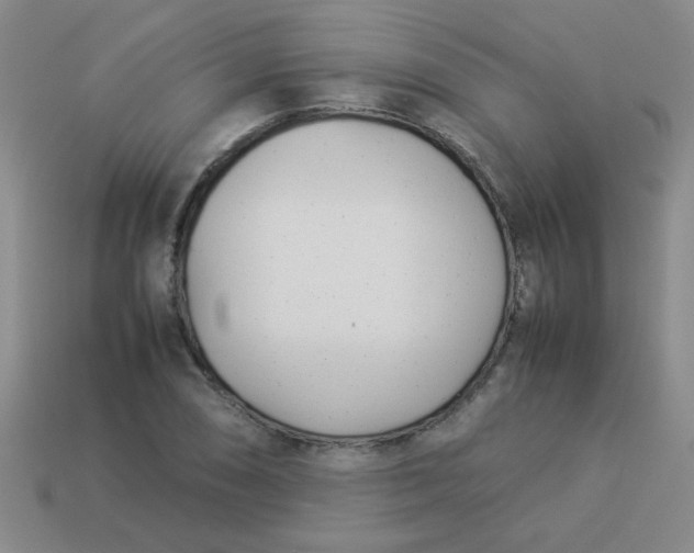 X0000113891074200910151329