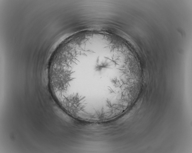 X0000113891075200910151329