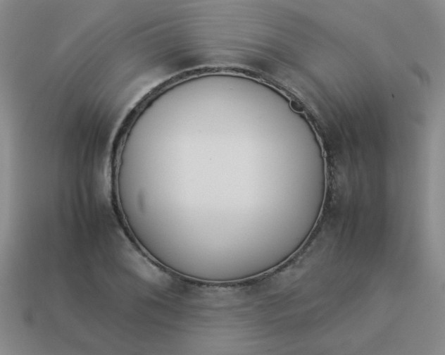 X0000113891076200910151329