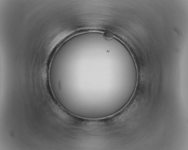 X0000113891077200910151329