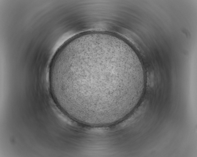 X0000113891078200910151329