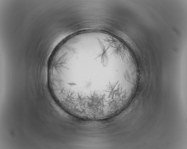 X0000113891079200910151329