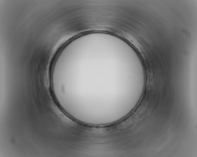 X0000113891080200910151329