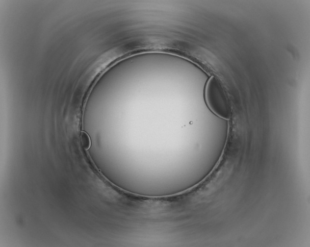 X0000113891081200910151329