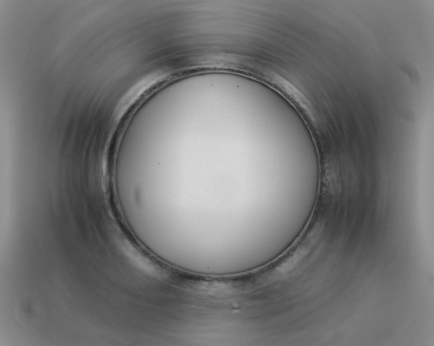 X0000113891082200910151329