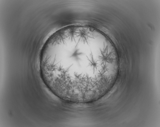 X0000113891083200910151329