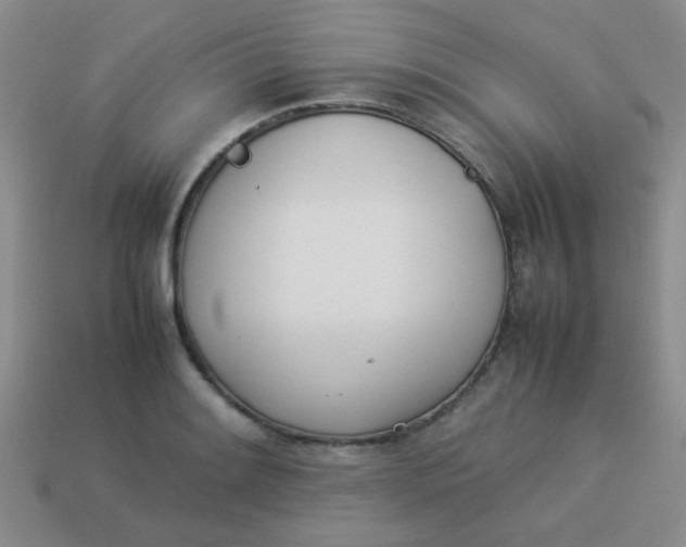 X0000113891084200910151329