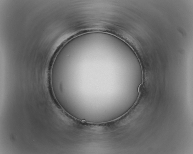 X0000113891085200910151329