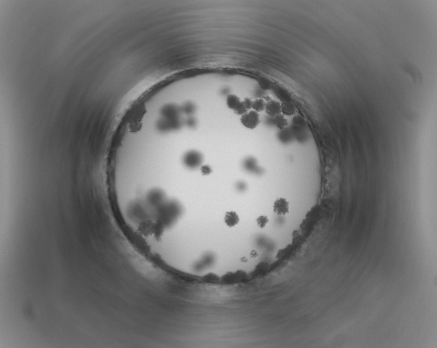 X0000113891086200910151329