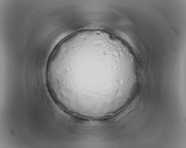 X0000113891087200910151329