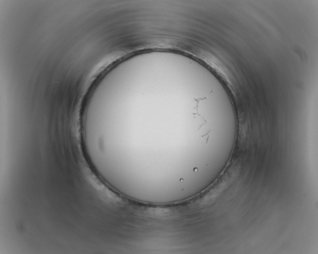 X0000113891088200910151329