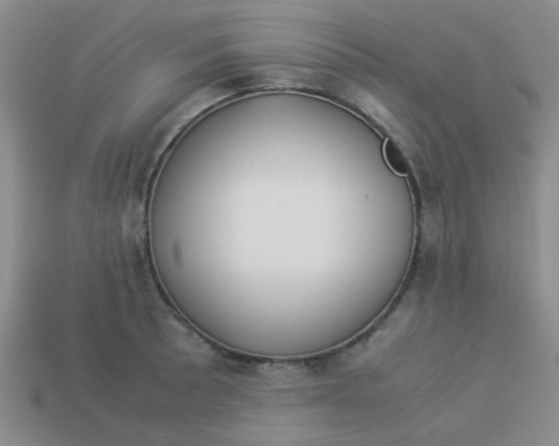 X0000113891089200910151329