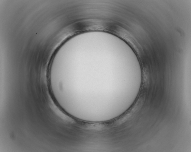 X0000113891090200910151329