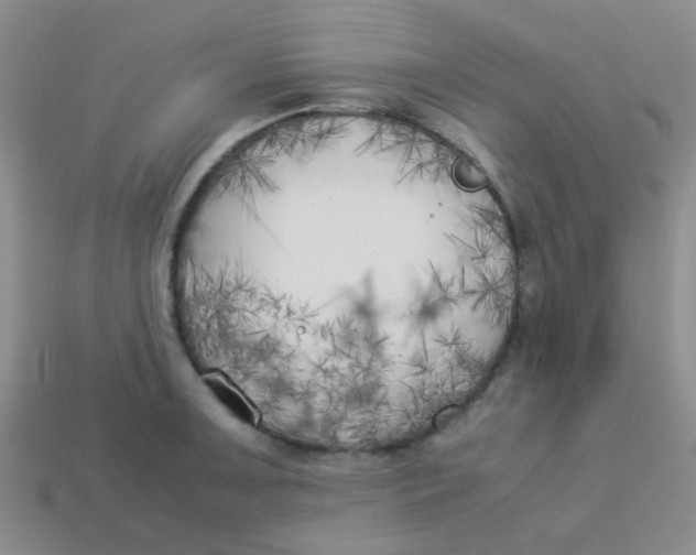 X0000113891091200910151329