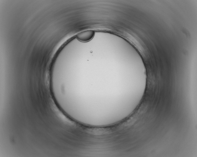 X0000113891092200910151329