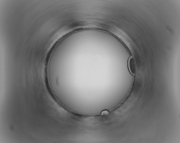 X0000113891093200910151329