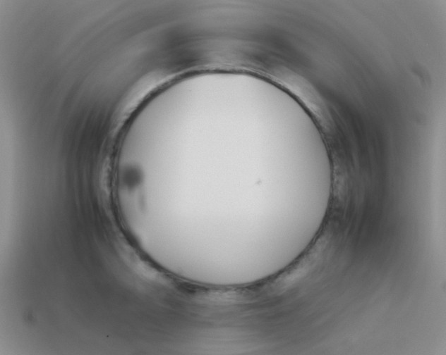 X0000113891094200910151329