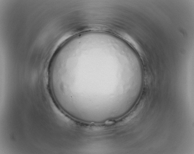 X0000113891095200910151329