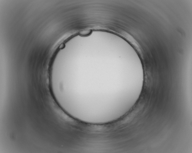 X0000113891096200910151329