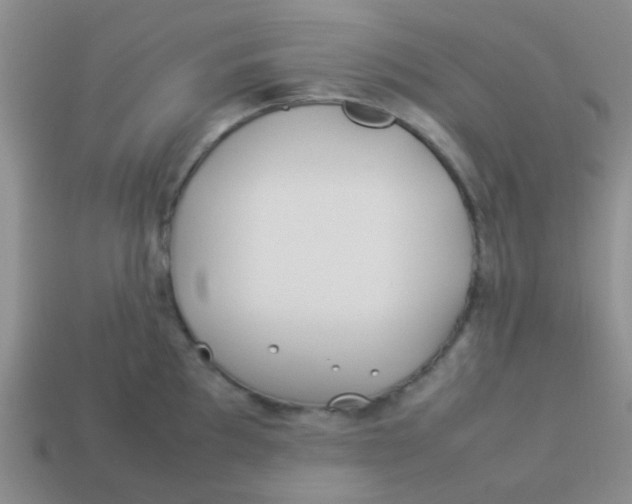 X0000113891097200910151329