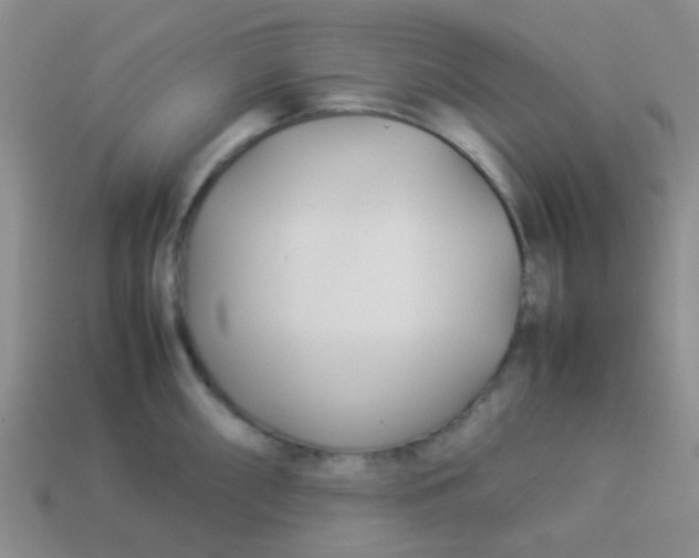 X0000113891098200910151329