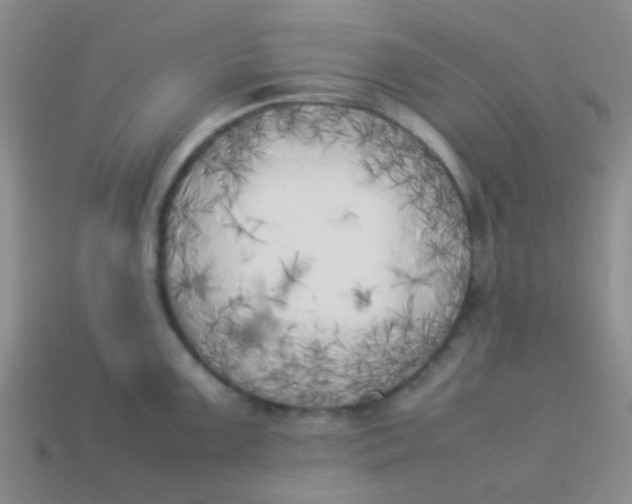 X0000113891099200910151329