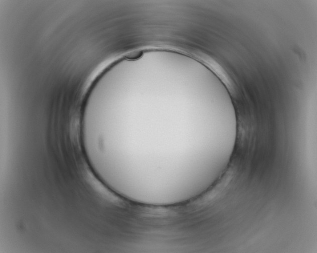 X0000113891100200910151329