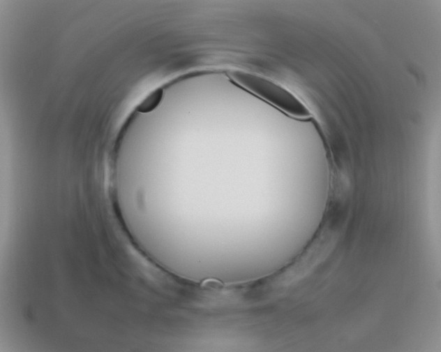 X0000113891101200910151329