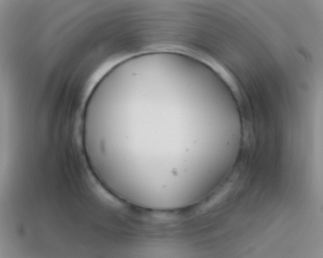 X0000113891102200910151329