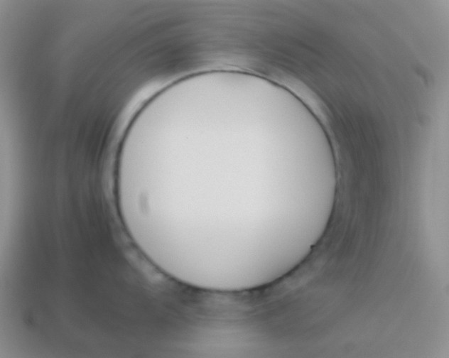 X0000113891104200910151329