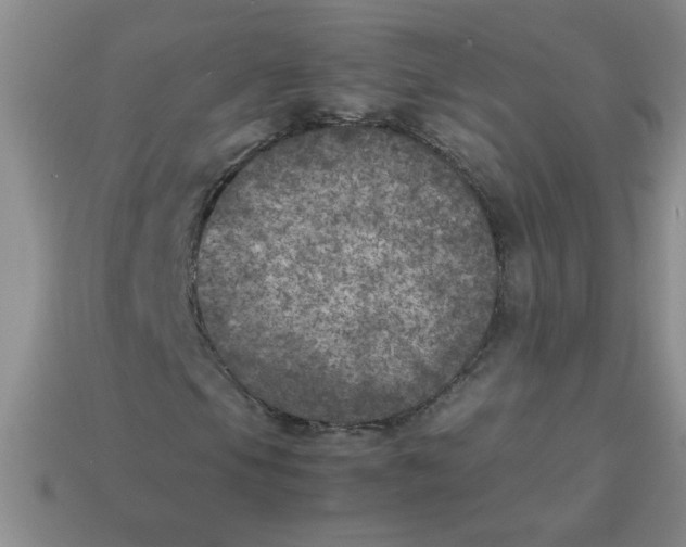 X0000113891105200910151328