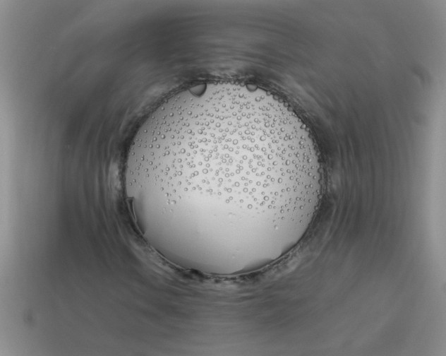 X0000113891106200910151328