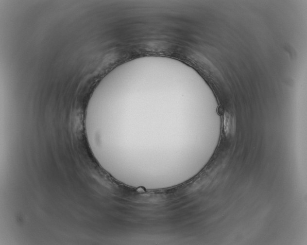 X0000113891107200910151328