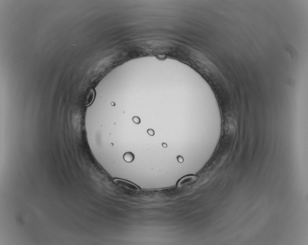 X0000113891108200910151328