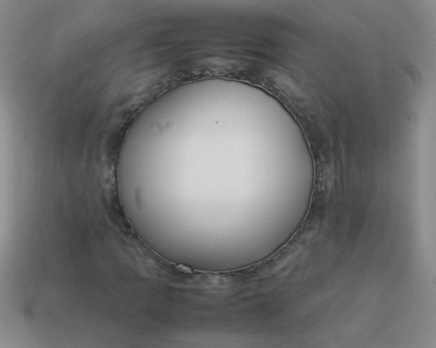 X0000113891109200910151328