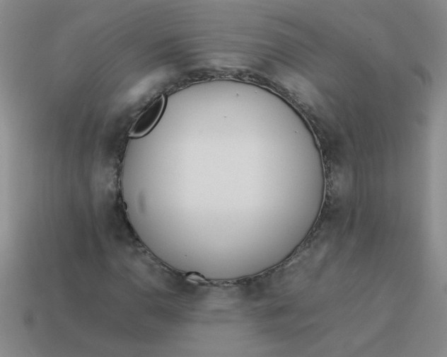 X0000113891110200910151328