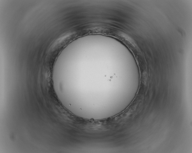 X0000113891111200910151328