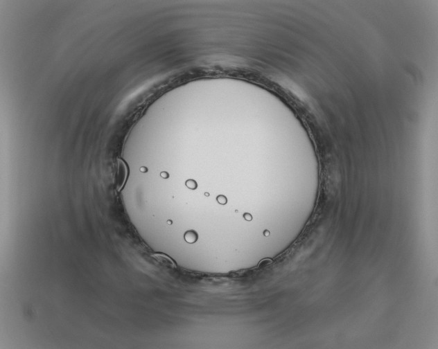 X0000113891112200910151328