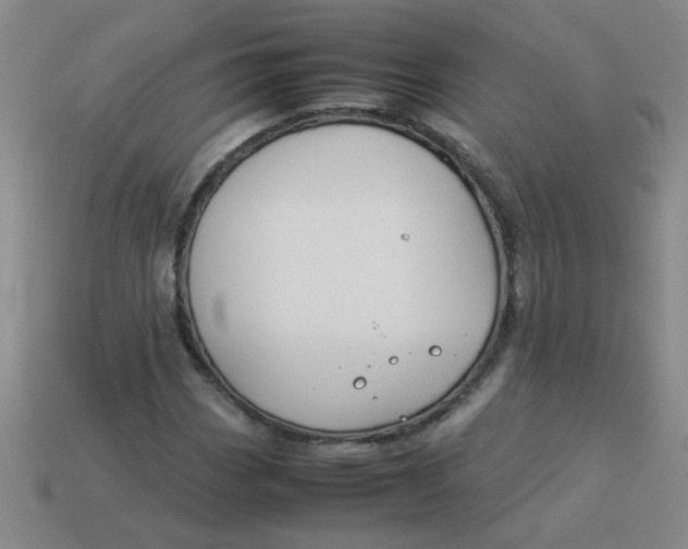 X0000113891113200910151328