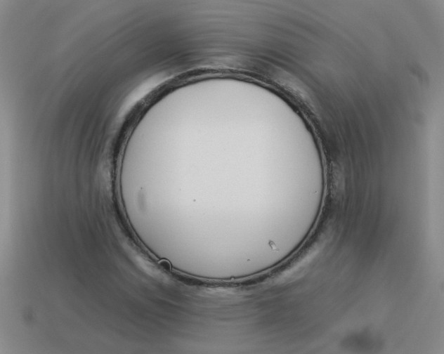 X0000113891114200910151328