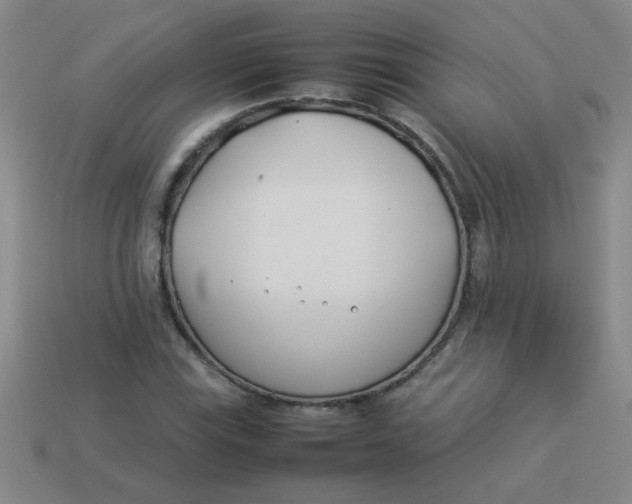 X0000113891115200910151328