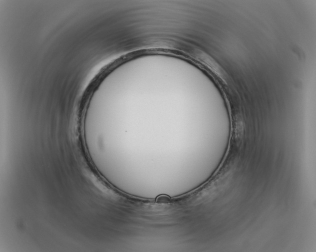 X0000113891116200910151328