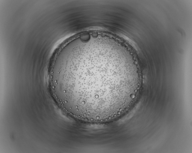 X0000113891117200910151328