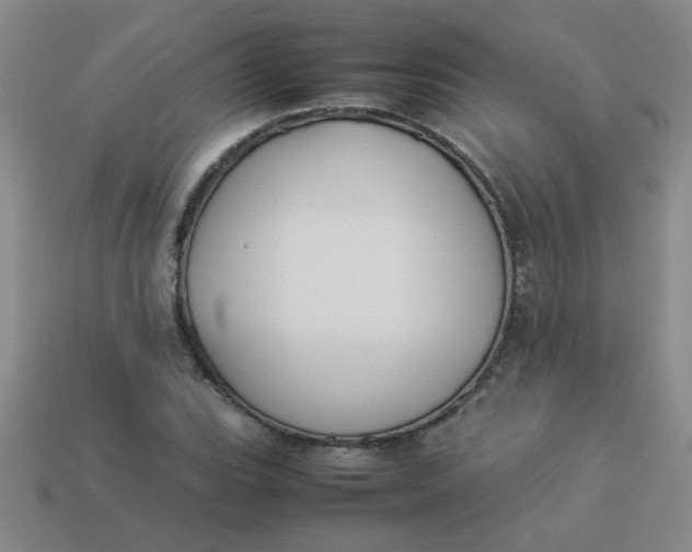 X0000113891119200910151328