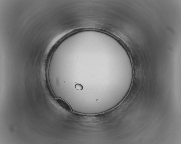 X0000113891120200910151328