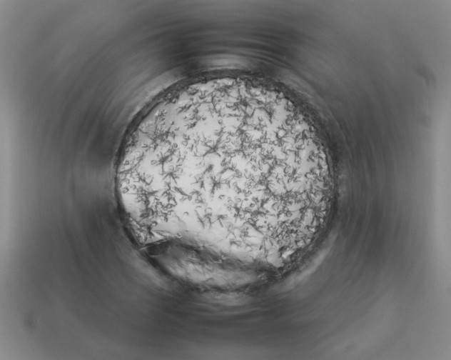 X0000113891121200910151329