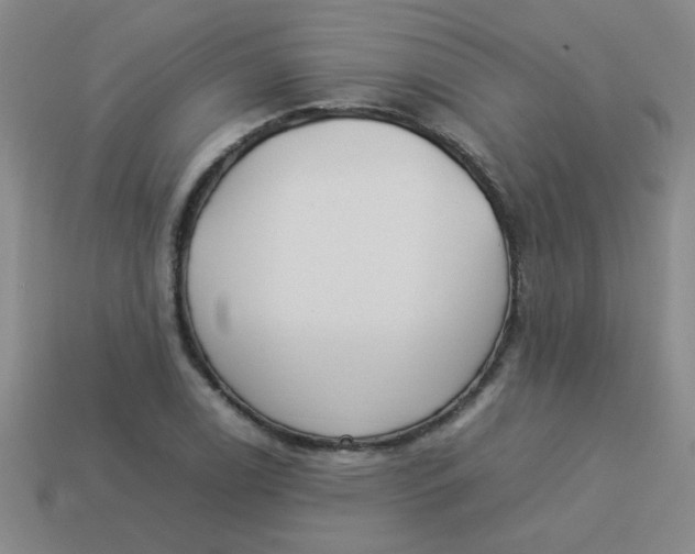 X0000113891122200910151329